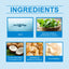 Mouth Coconut Mouthwash Fresh Breath Clean Odor Stains Stains And Beautiful Teeth Mouthwash - Korvel