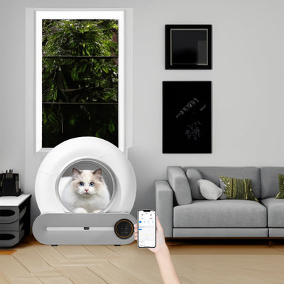 Smart Automatic Cat Litter Box with WiFi Control