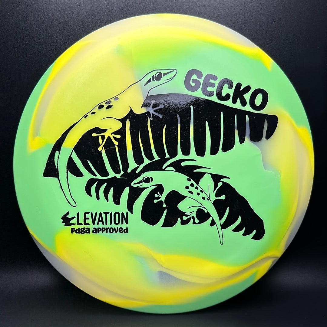 Disco de Golf glO-G Gecko