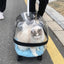 Transporteur de voyage en capsule transparente pour animaux de compagnie