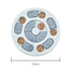 Dog Puzzle Toys Slow Feeder Interactive Increase Puppy IQ Food Dispenser Slowly Eating NonSlip Bowl Pet Cat Dogs Training Game - Korvel
