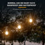 SunGlow Hook Light - Korvel