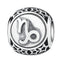 BAMOER 925 Sterling Silver Aquarius Star Sign Zodiac Beads Charms fit Bracelets PSC048 - Korvel