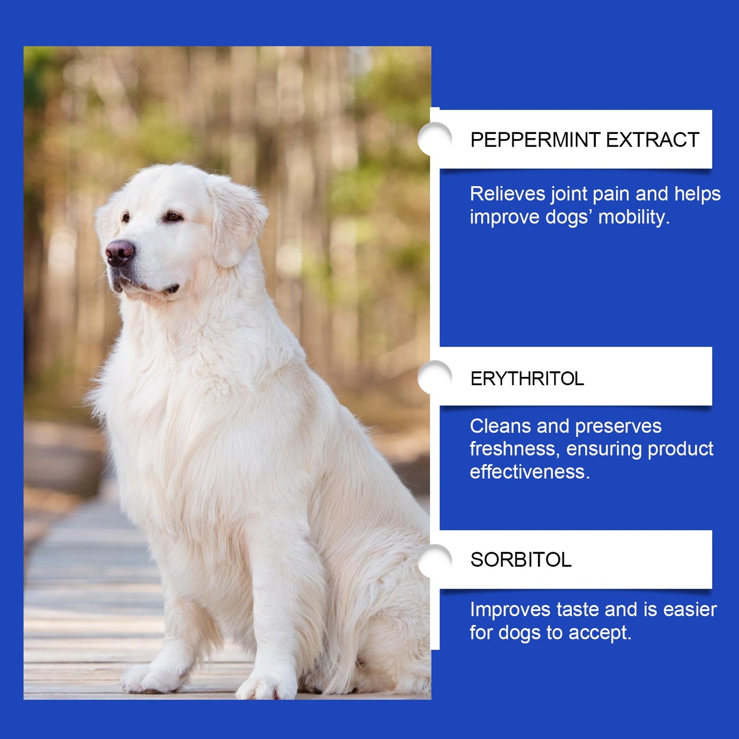 Pet Dog Joint Supplement To Enhance Nutrition Care Joint Health Pet Joint Care Agent - Korvel