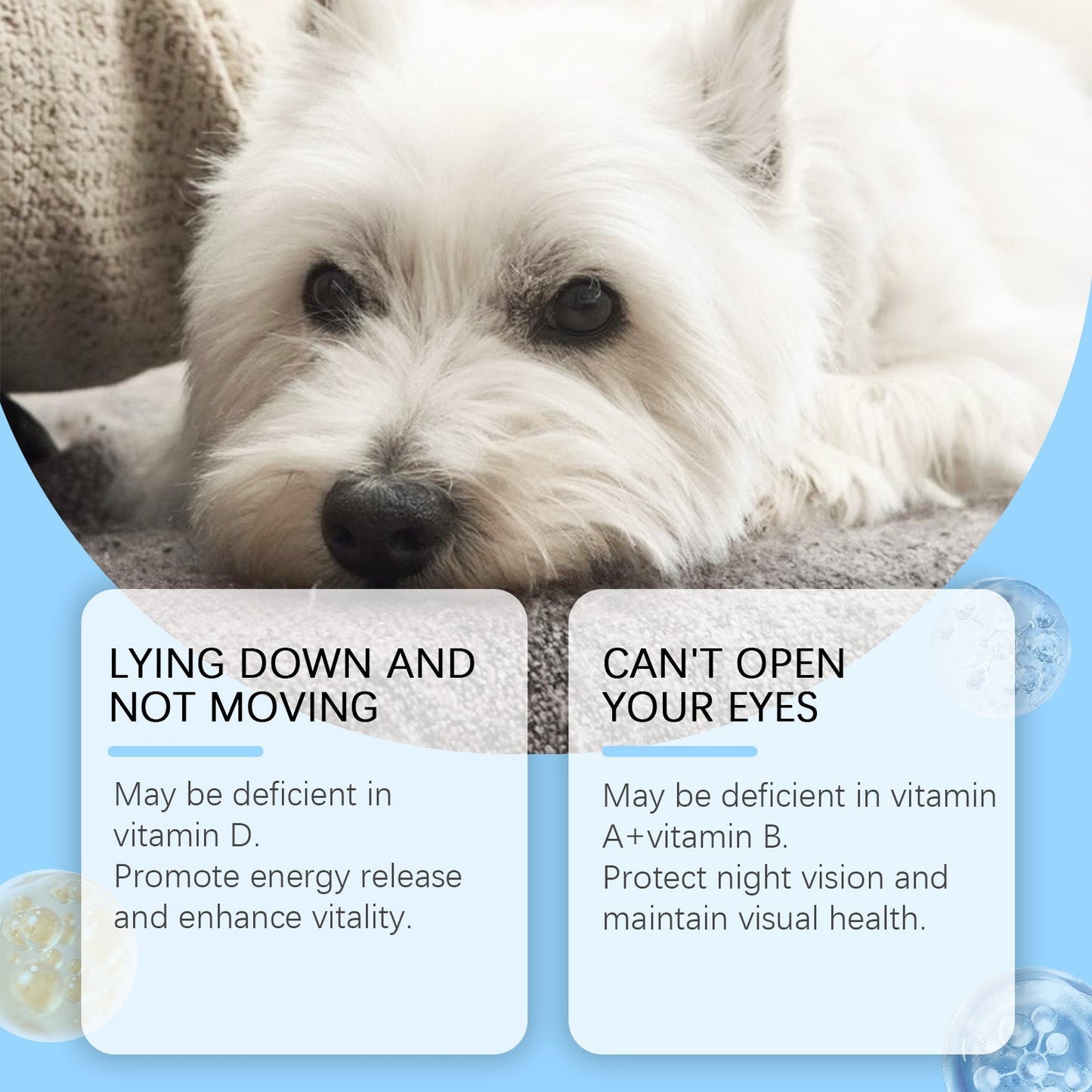 Multivitamin Tablets For Dogs, Cats, Dogs And Pets Absorb Nutritional Health Supplements - Korvel