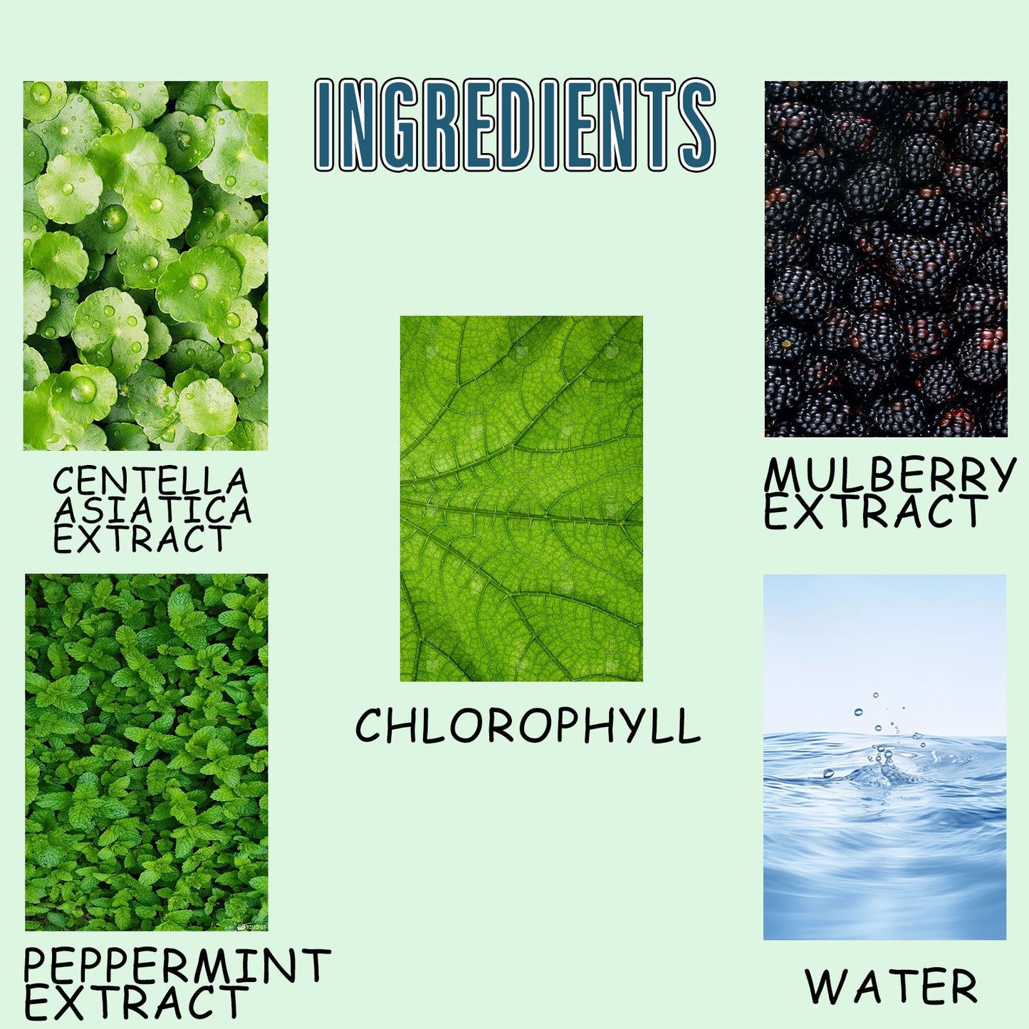 Gouttes Liquides de Chlorophylle pour la Fraîcheur et la Vitalité