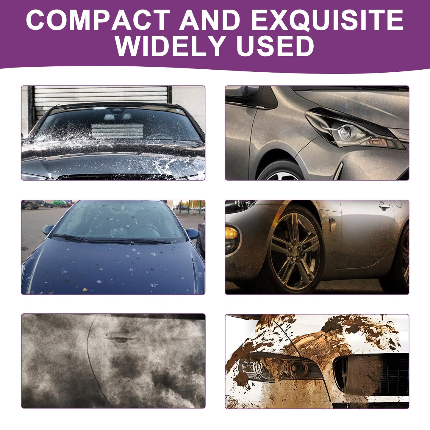 Premium 6-in-1 Automobile Protection Spray