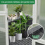 76''x48''x86'' Polycarbonate Greenhouse, Walk-in Outdoor Plant Gardening Greenhouse for Patio Backyard Lawn - Korvel
