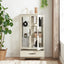 Elegant Lighted Curio Display Cabinet with Adjustable Shelves