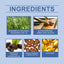 Rosemary Hair Care Oil Nourishes, Strengthens, Smoothes And Improves Scalp Massage Treatment Essence - Korvel
