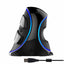Delux M618 PLUS Ergonomics Vertical Gaming Mouse 6 Buttons 4000 DPI RGB Wired/Wireless Right Hand Mice For PC Laptop Computer - Korvel