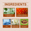 Body Care Massage Essence, Moisturizing Gentle And Firming Body Care Massage Essential Oil - Korvel