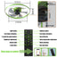 Dimmable LED Ceiling Fan with Modern Design in Green