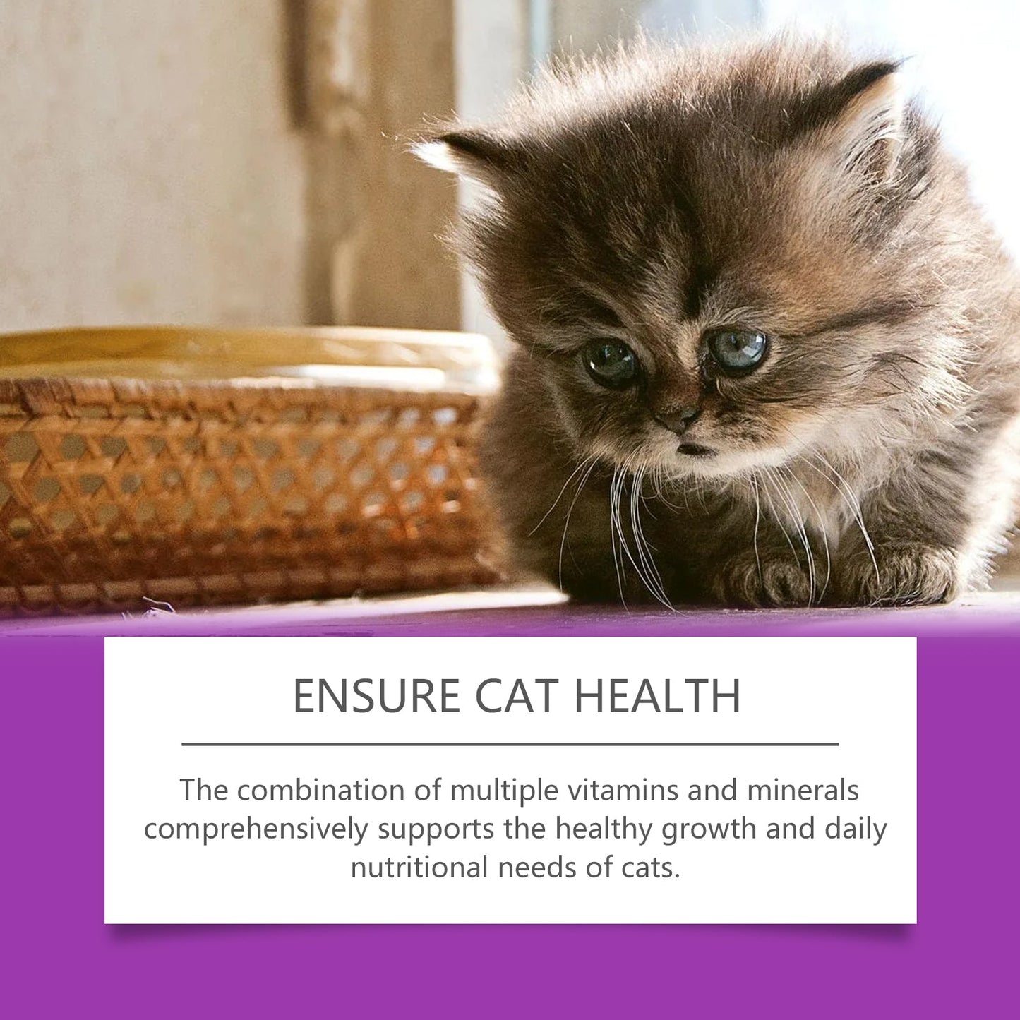 Pet Cat Vitamin Drops Care For Pets With Physical Discomfort Daily Care Vitamin Supplements - Korvel