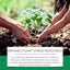 Moonspry Chlorophyll Spray - Whole Plant Nutrient Solution
