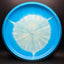 Halo Star Aero - 40th Anniversary Edition Disc Golf Disc