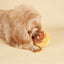 Dog grinding teeth durable plush toy biting sound toy - Korvel
