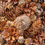 PINE CONE TABLE TOP TREE - Korvel
