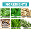 Mugwort Arm Patch - Natural Herbal Moxibustion for Comfort
