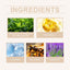 Skin Care Cream Clear Skin Moisturizing Smooth Skin Gentle Repair Cream Herbal Care Cream - Korvel