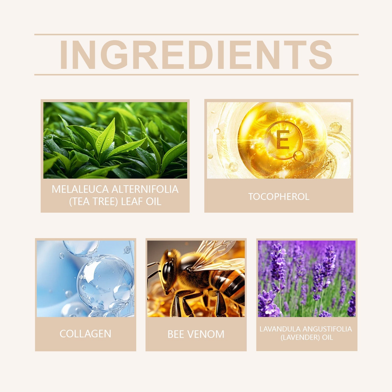 Skin Care Cream Clear Skin Moisturizing Smooth Skin Gentle Repair Cream Herbal Care Cream - Korvel