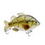 PVC Soft Tail Sub Bait 4-Section Tilapia Sub Multi Section Artificial Bait Freshwater Sub Bait - Korvel
