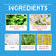 Teeth Beauty Powder, Mouth Cleaning Care Teeth Cleaning Smile Odor Care Powder - Korvel