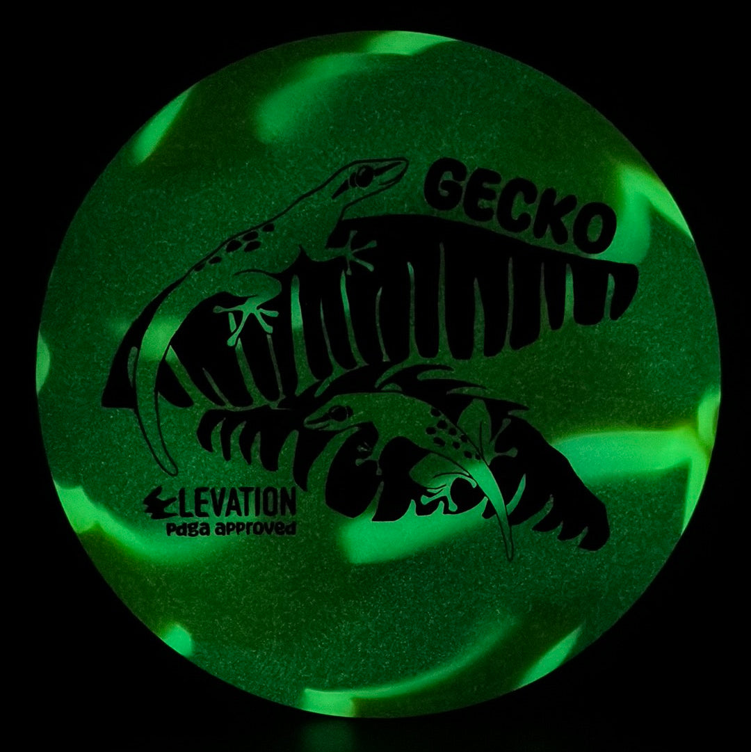 Disco de Golf glO-G Gecko