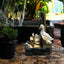 Solar resin duck garden fountain with LED squirrel design, outdoor decor (E2). - Korvel