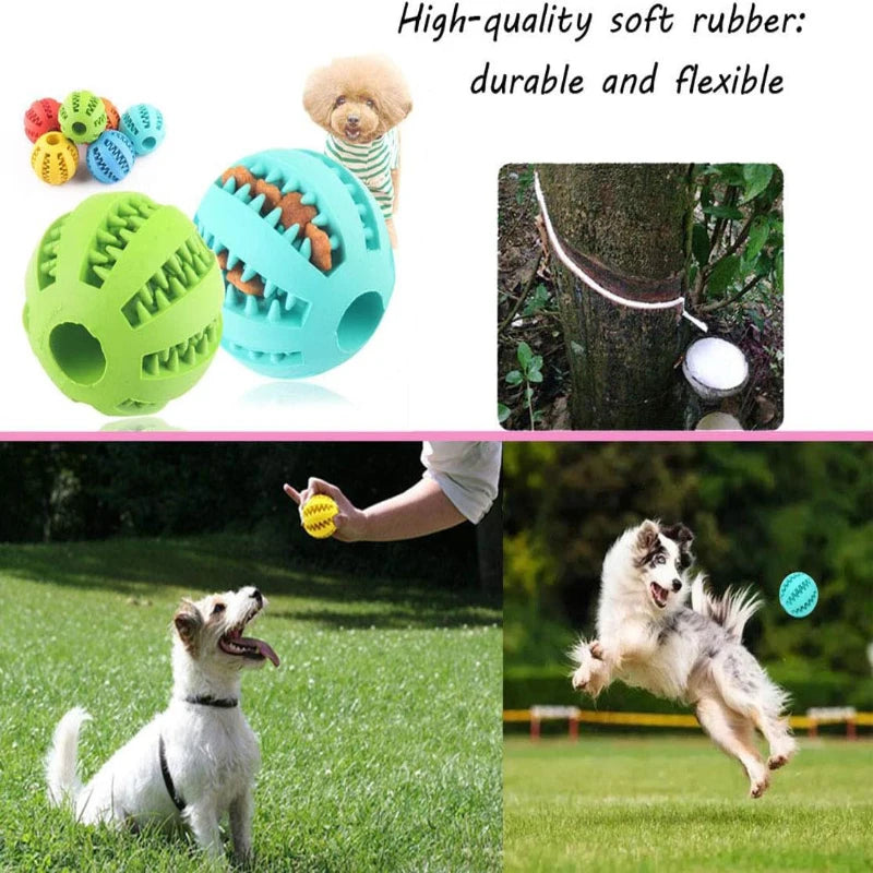 Dog Toy Ball Interactive Rubber Balls Puppy Chewing Toys Pet Tooth Cleaning Ball Cats Pets Food Treat Feeder Silicone Balls Toy - Korvel