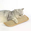 CatNip Fury Kicker - Korvel