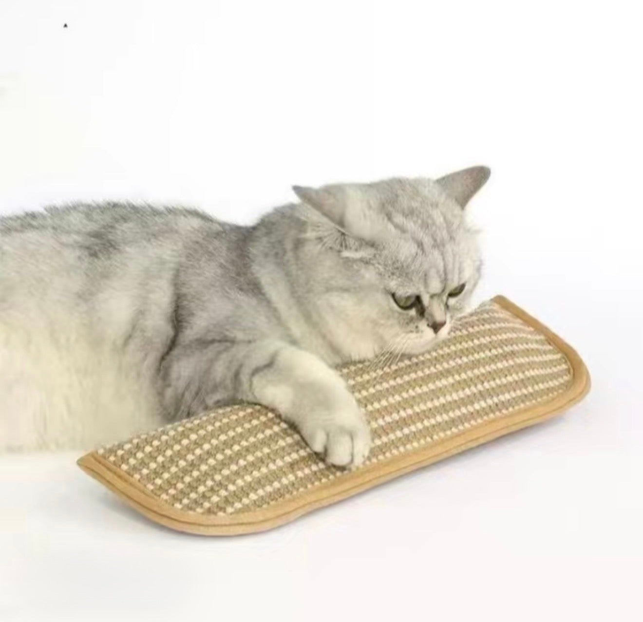 CatNip Fury Kicker - Korvel