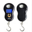 Hanging Scale 50Kg /10g Digital Scale BackLight Fishing Pocket Weight scale Luggage Scales Kg Lb OZ - Korvel