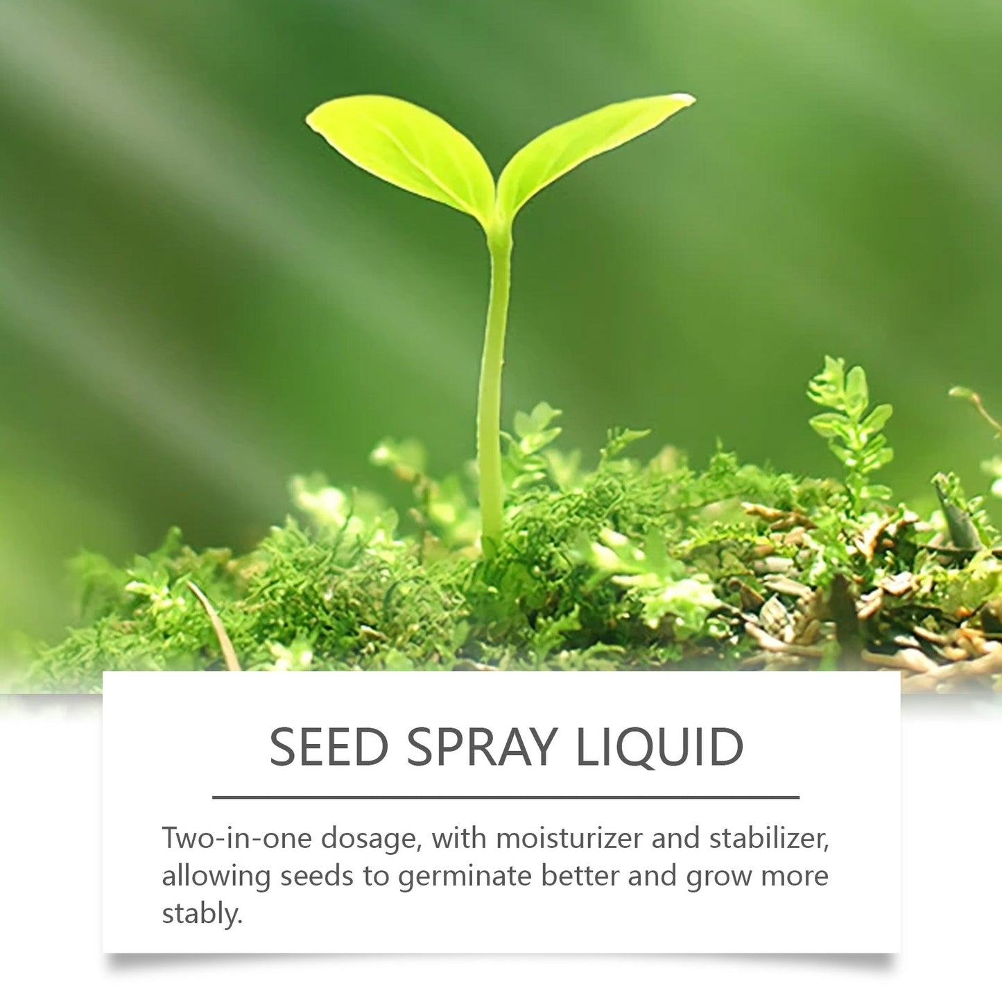 Spray Líquido Verde para Césped Premium para un Crecimiento Vibrante
