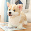 Premium Plush Maltese Dog Toy - Perfect Gift for Teens