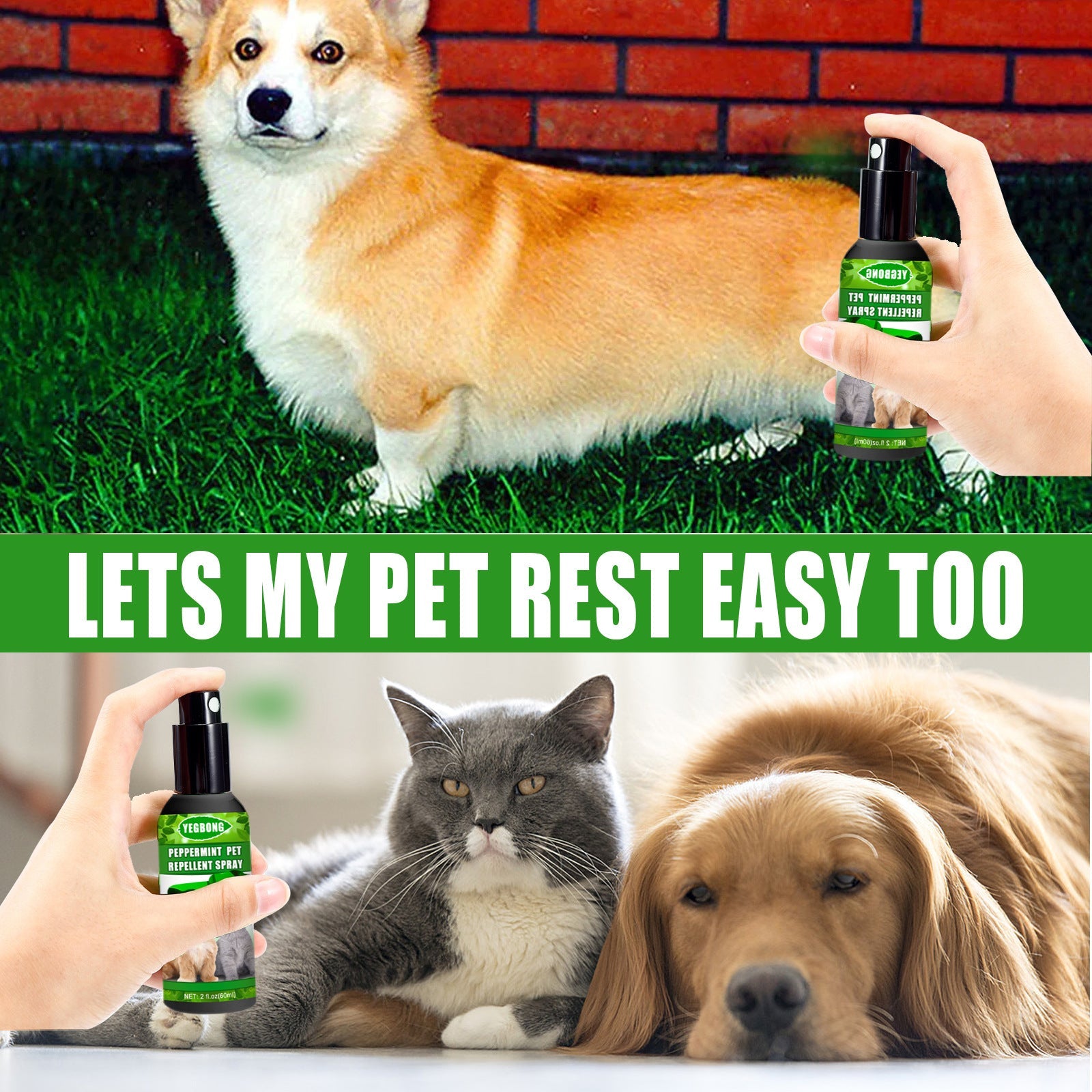 Peppermint Pet Repellent Spray, Dog Mite Spray Pet Mite Fungus Spray For Cats And Dogs - Korvel