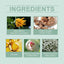 Clear Fragrance Type Solid Balm Fresh Charm Light Elegant Charm Keep Fragrance Fresh Non-Sticky Solid Balm - Korvel