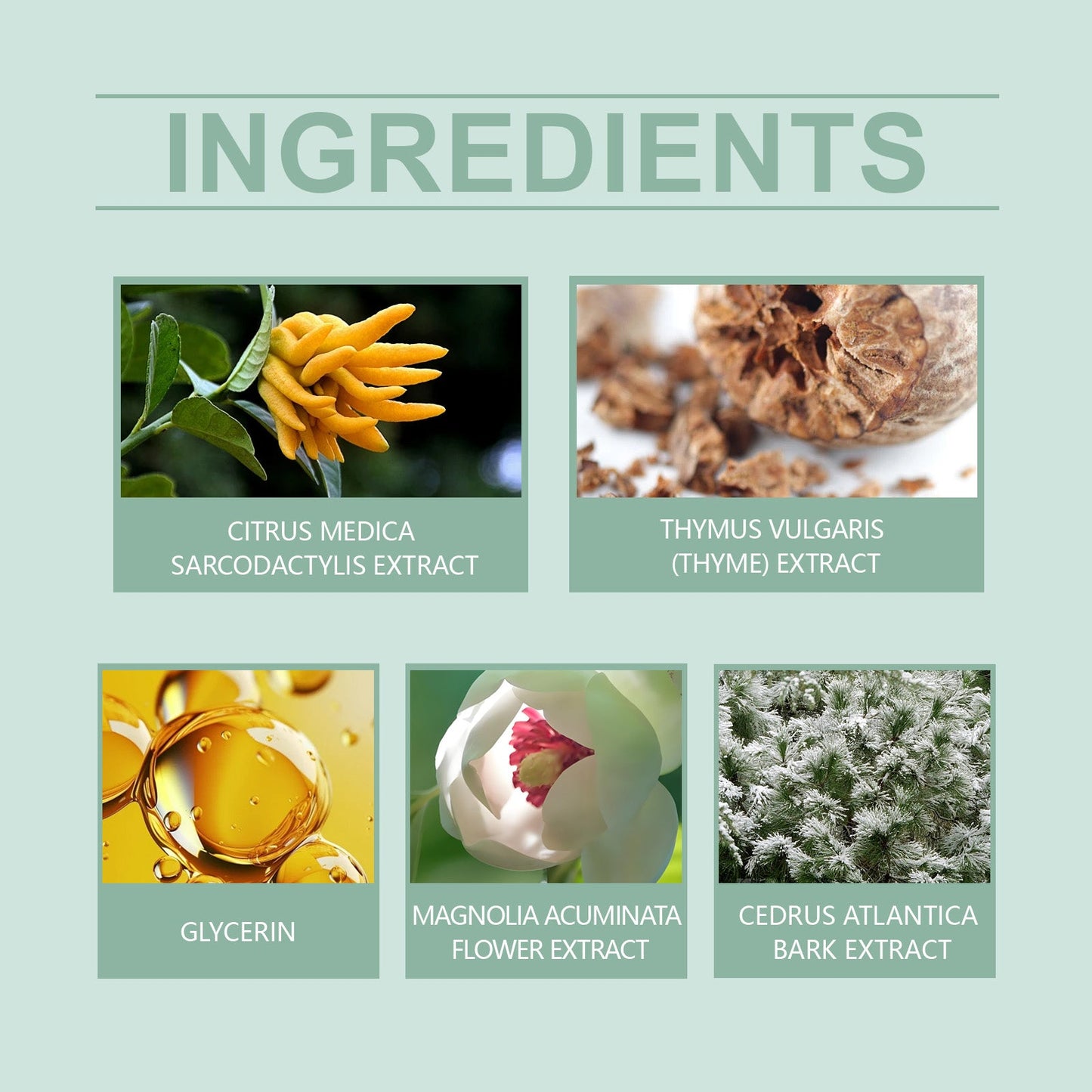 Clear Fragrance Type Solid Balm Fresh Charm Light Elegant Charm Keep Fragrance Fresh Non-Sticky Solid Balm - Korvel