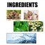 Propolis Oral Cleaning Mousse Oral Cleaning Care Tooth Stain Removal Fresh Mousse Toothpaste - Korvel