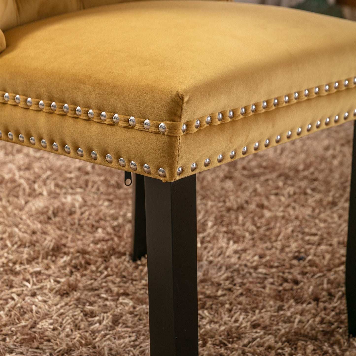 Ensemble de chaises de salle à manger en velours premium - Collection Nikki