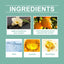 Vanilla Citrus Roll-On Fragrance For Kids Sweat Roll-On Armpit Sweat Cleansing Fragrance Gentle And Fresh - Korvel