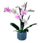 Building block lighting compatible with LEGO 10311 orchid green plant bonsai IDEAS remote control LED light - Korvel