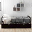 Espresso Twin Size Platform Bed with Two Drawers