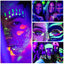 Fit Colors 12 Color Fluorescent Eyeliner Set