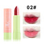 Macaron Color Changing Lipstick - Lasting Moisture & Warm Hues
