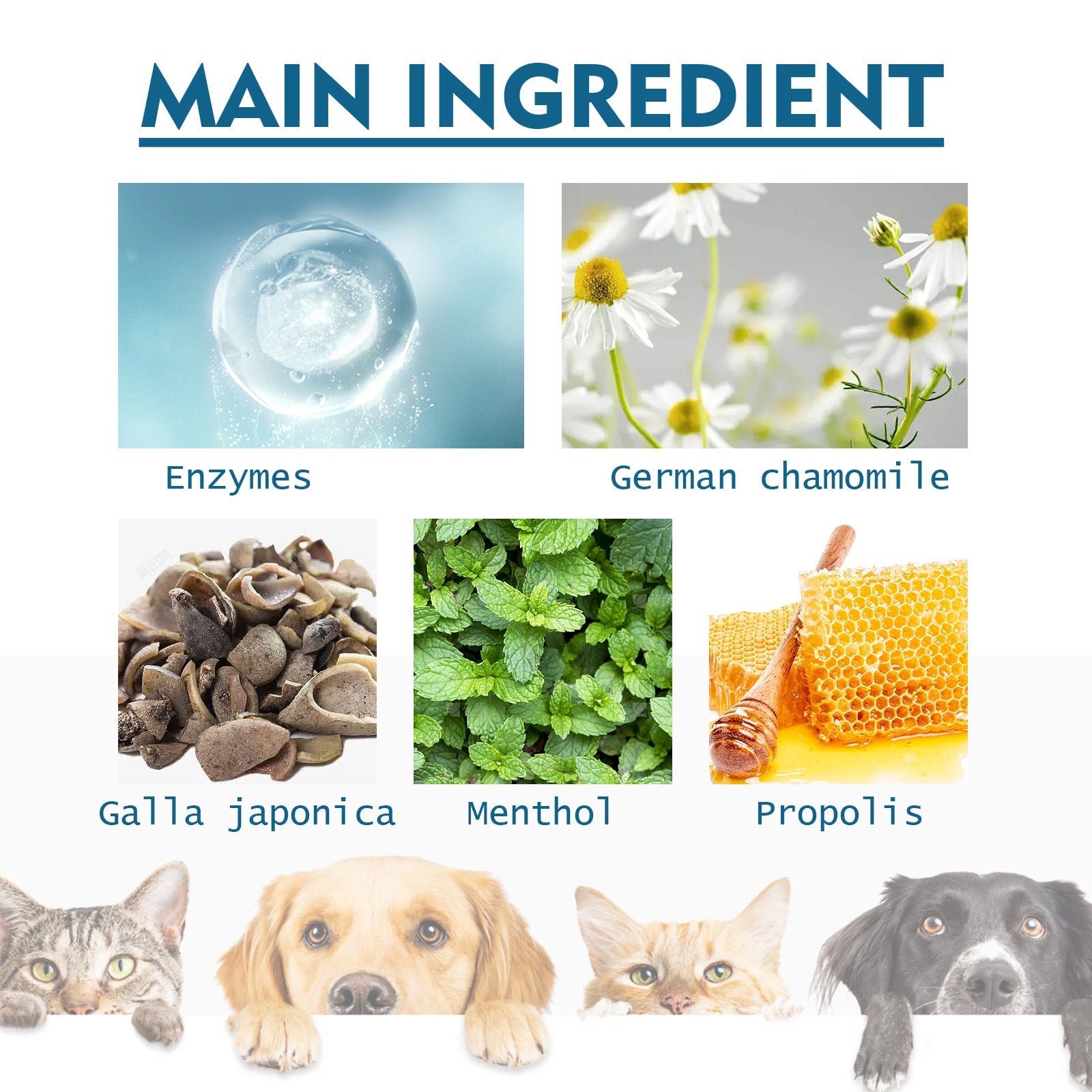 Pet Oral Cleaning Spray, Cats And Dogs Remove Tartar And Bad Breath Fresh Mouth Care Spray - Korvel