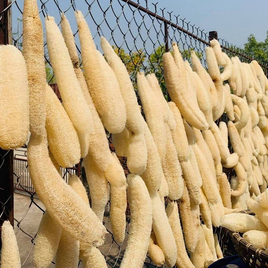 Natural Loofah Sponge - Eco-Friendly Exfoliator