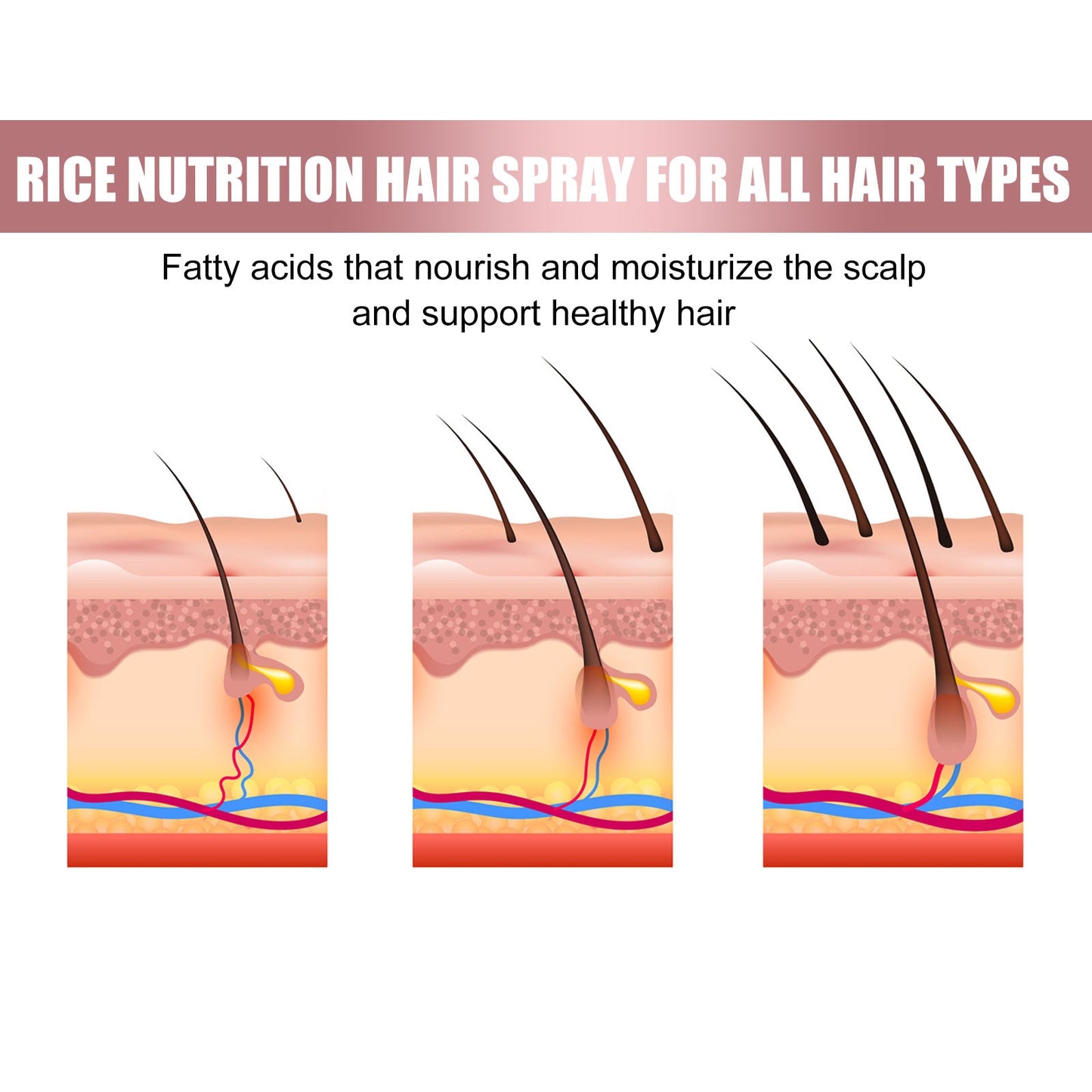 Rice hair Care Spray strengthens hair and moisturizes scalp - Korvel