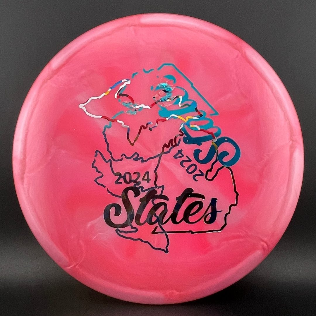 Ti Wasp - 2024 Michigan States - Double Stamped Disc Golf Disc