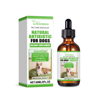 Dietary Supplements For Dogs, To Promote Pet Health Pet Dogs Special Dietary Supplements - Korvel